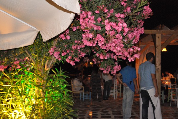 Opening of Maddalena